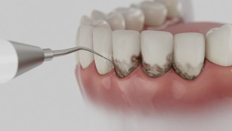 Reliable Dental contractor in Severance, CO by Dentist Open Now
